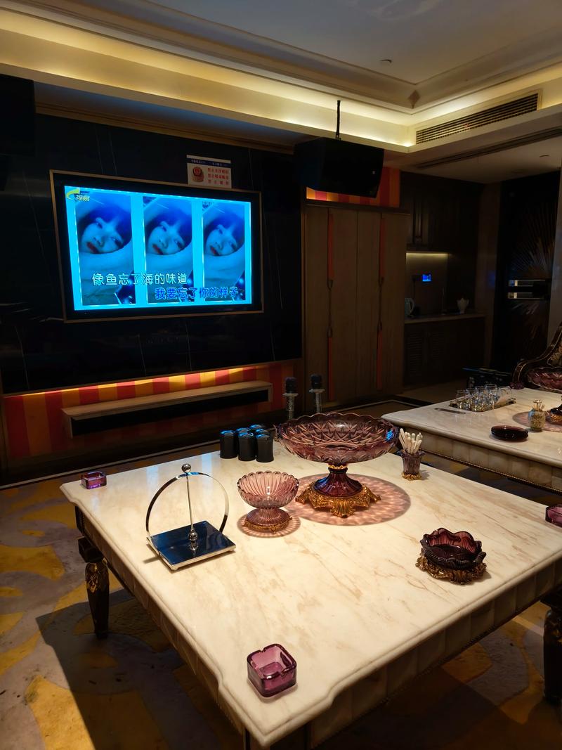 沈阳商务ktv优选单人商务ktv体验-浑南区ktv预订